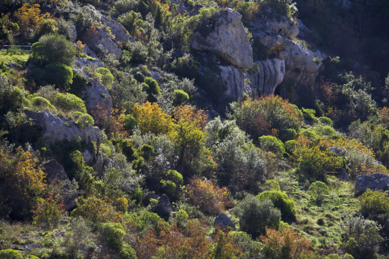 Perchè la macchia è percepita come “Terra di nessuno”